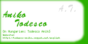 aniko todesco business card